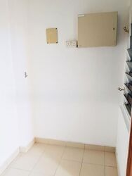 KJ Mansion (D19), Apartment #559725961
